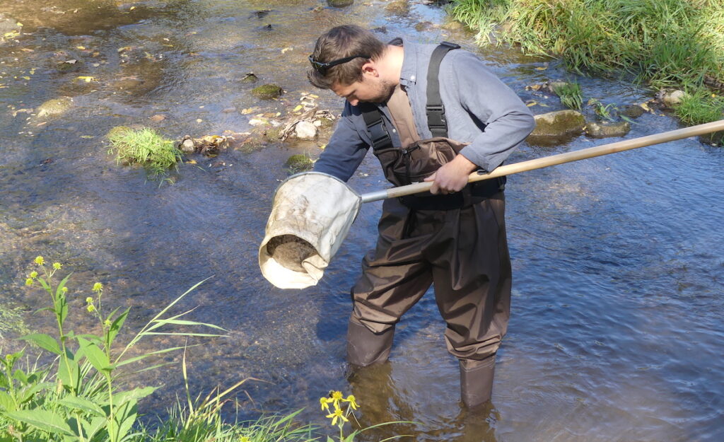 Sean Dennis, executive director of the River Raisin Watershed Council, uses a cloth net to dip macroinvertebrates out of the water. The macroinvertebrates provide clues to the local watershed’s health. (Photo by Kadi Franson)