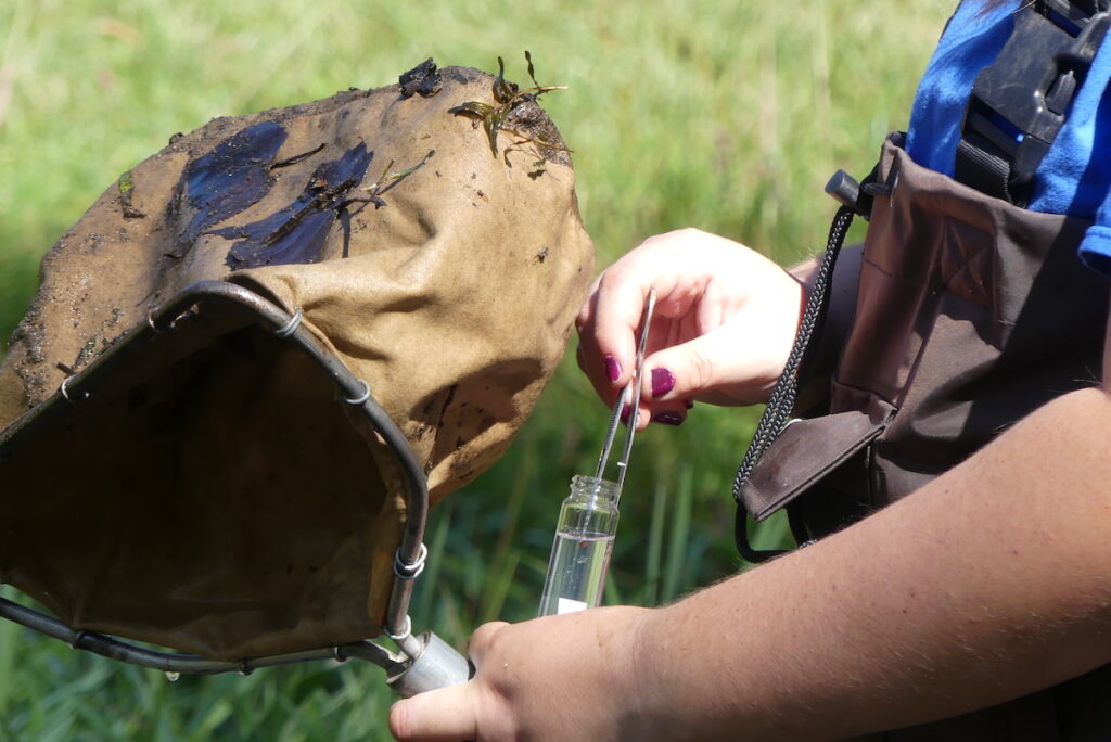 Water stewardship coordinator Lydia Lopez places a tiny aquatic animal into a beaker. (Photo by Kadi Franson)