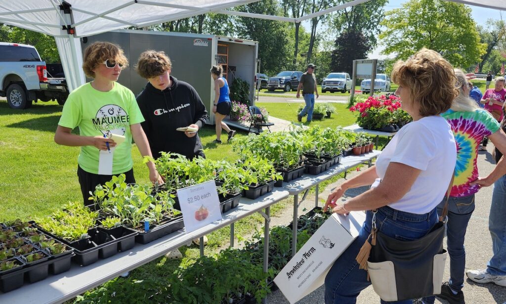 Morenci students Zackary Shields and Colsen Waltzer help a customer at the student-run farmers market on May 18 at Wakefield Park.