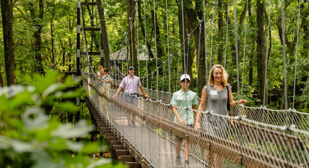 The new Sky Walk at Hidden Lake Gardens is drawing more visitors to the 755-acre botanical garden and arboretum.