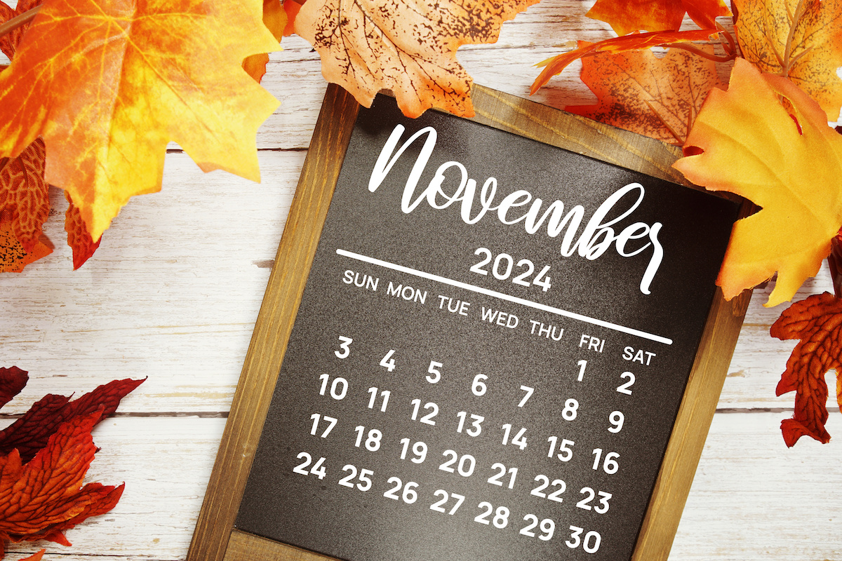 November 2024 Lenawee County events calendar The Lenawee Voice