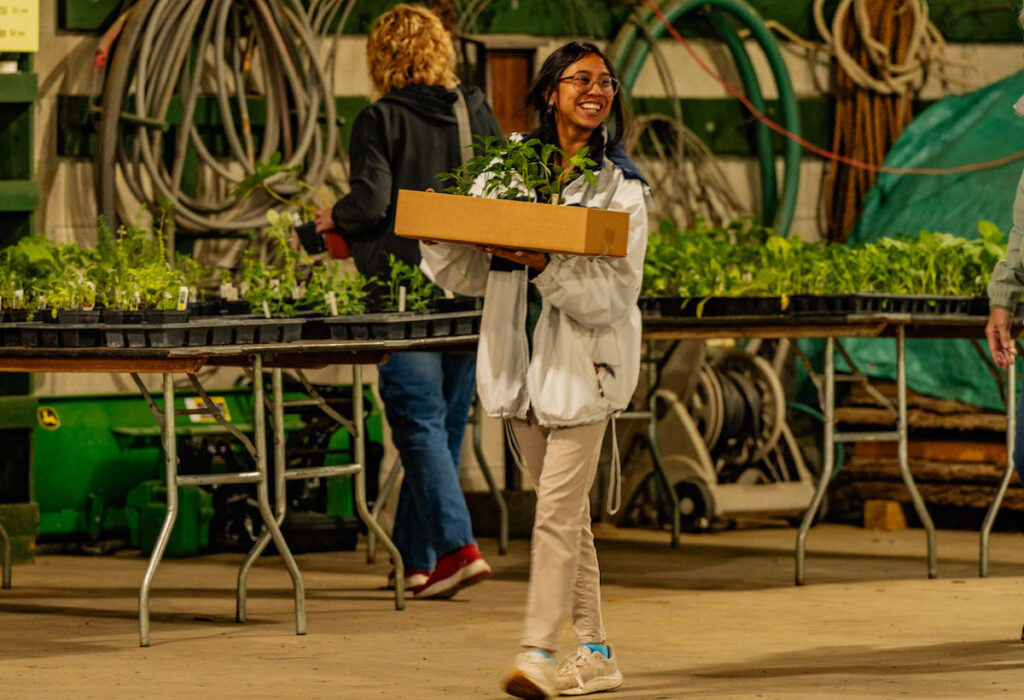 Elliana Gutierrez, a Hidden Lake Gardens intern, works at the 2024 plant sale.