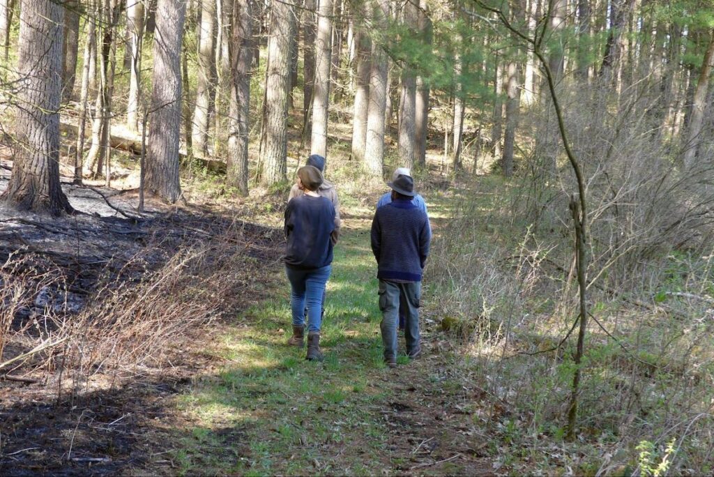 As we walked, we moved through patches of land that had been burned, creating the conditions for the native seed bank to emerge. Along the edges, trees spread into the newly opened areas. Bob spoke about caring for the spaces between habitats, also known as ecotones, because they are often richer in species than either one alone.