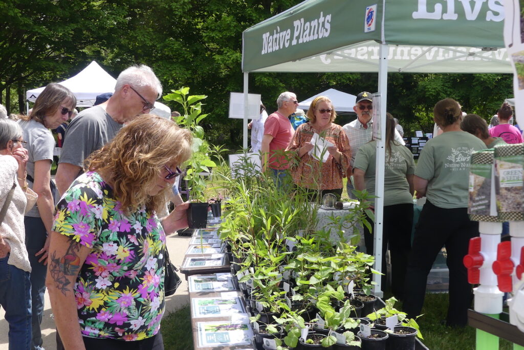 Visitors wandered through the booths, feeling the texture of leaves, reading plant descriptions, and carefully selecting which plants to bring home. Demand was so great that certain species sold out. (Photo by Kadi Franson)