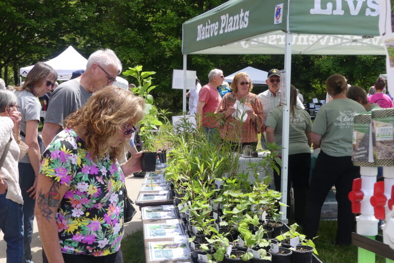 Visitors wandered through the booths, feeling the texture of leaves, reading plant descriptions, and carefully selecting which plants to bring home. Demand was so great that certain species sold out. (Photo by Kadi Franson)