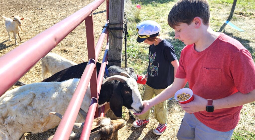 Mila and Joel Skupy of Plymouth feed some of the goats at Asam Acres during Cows & Coffee on Sept. 14. (Photo by Erik Gable)