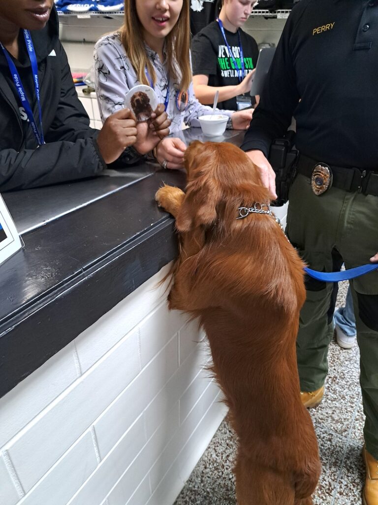 Charlie, the Adrian High School resource dog, checks out a backpack button bearing his image at the AHS school store.
