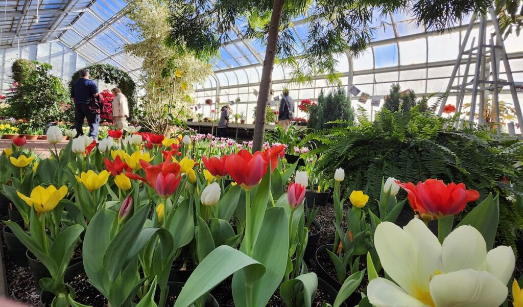 Guests walk though the Hidden Lake Conservatory on opening day of the Spring Flower Show. (Photo by Erik Gable)