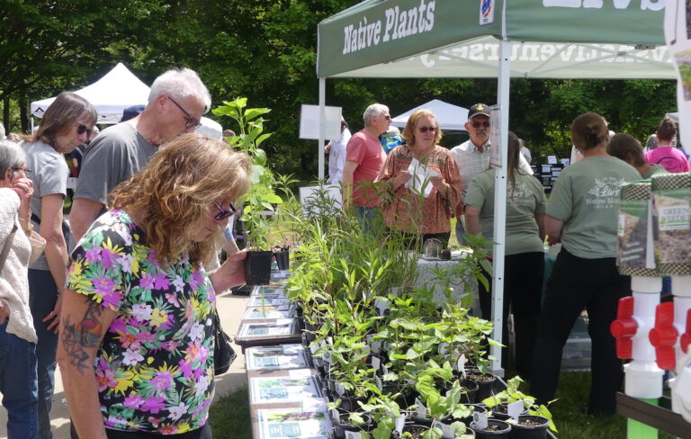 People browse the displays at last year’s native plant sale hosted by the River Raisin Watershed Council. (File photo by Kadi Franson)