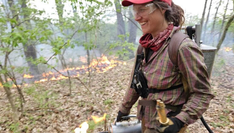 A prescribed burn near Adrian shows how fire can aid in ecological restoration