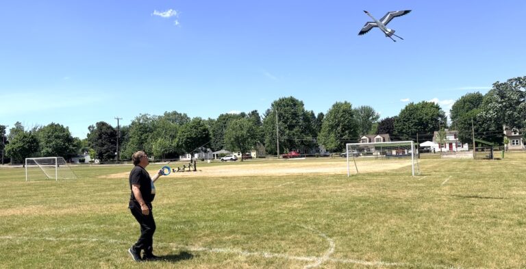Joel Scholz — pictured flying a kite at Cal Zorn Park in Tecumseh — is a retired kite designer who moved to Adrian in 2024. (Photo by Kate Mitchell)