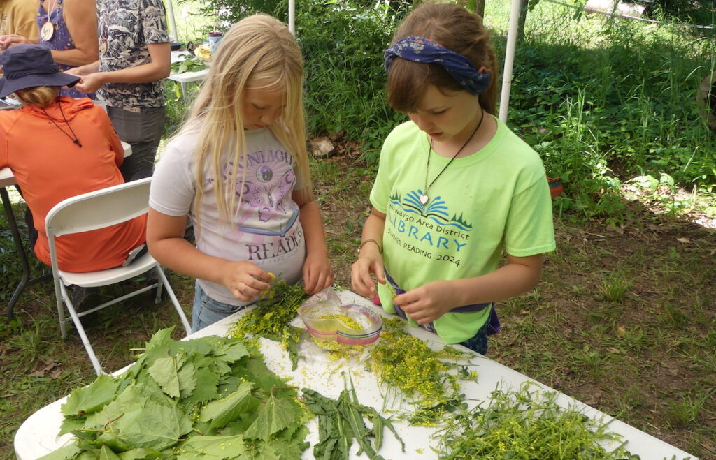 Edith Michielsen, left, and Ava Meals, who runs her own business called Ava’s Salves, process foraged plants at the gathering.