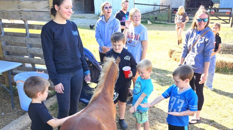 Cows & Coffee offers visitors a glimpse of life on the farm